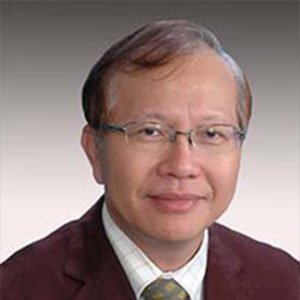 Professor Chew Ek Peng